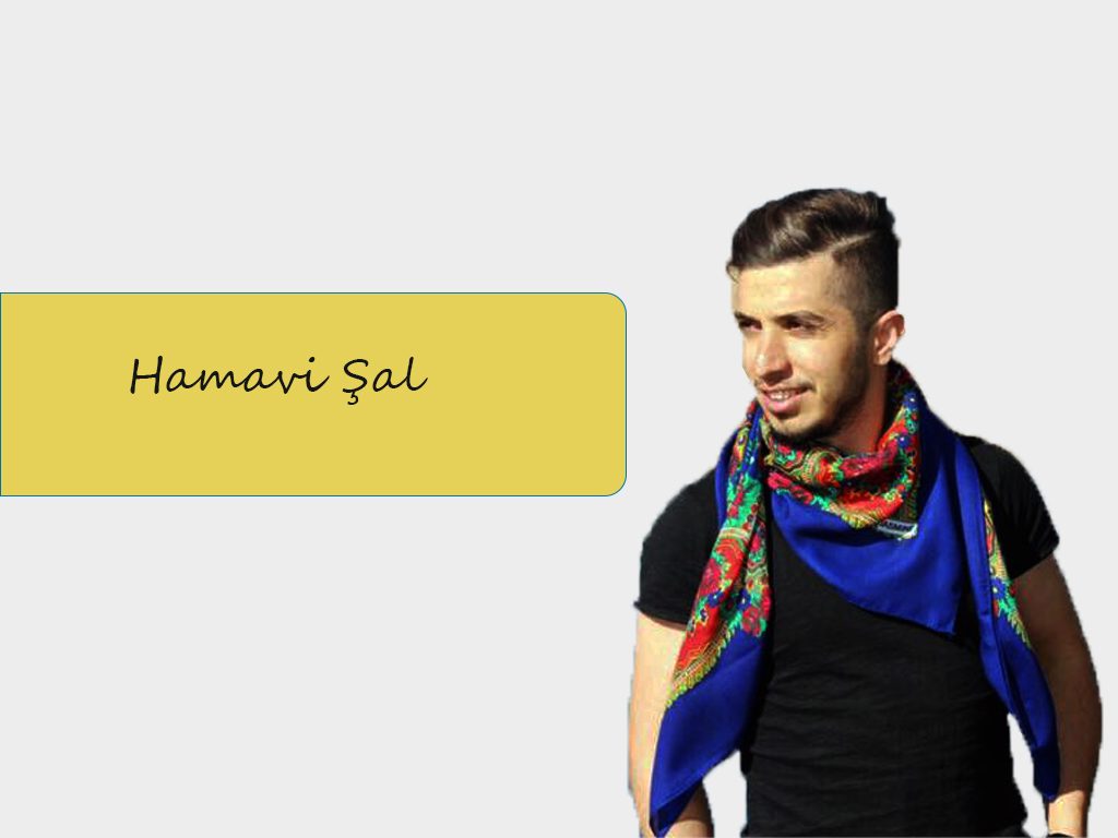 hamavisal
